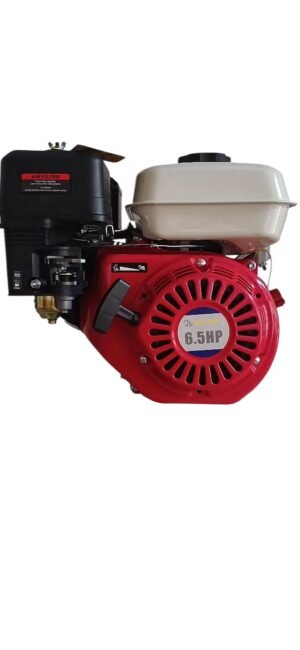 MOTOR A NAFTA BS168 F-1